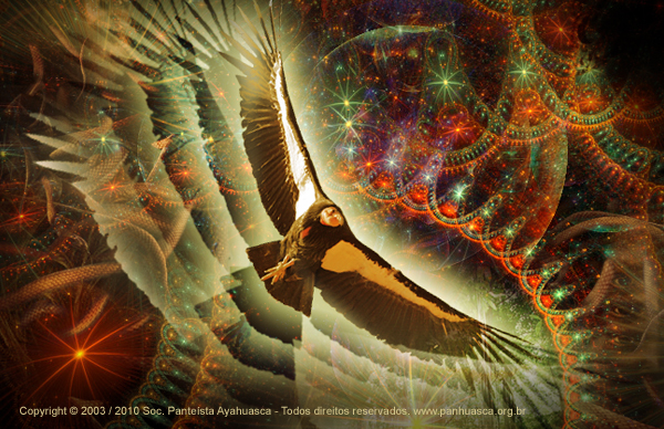 condor_ayahuasca