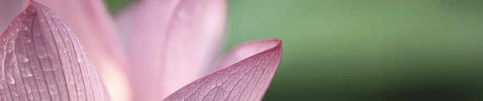 Slideshow Image 4